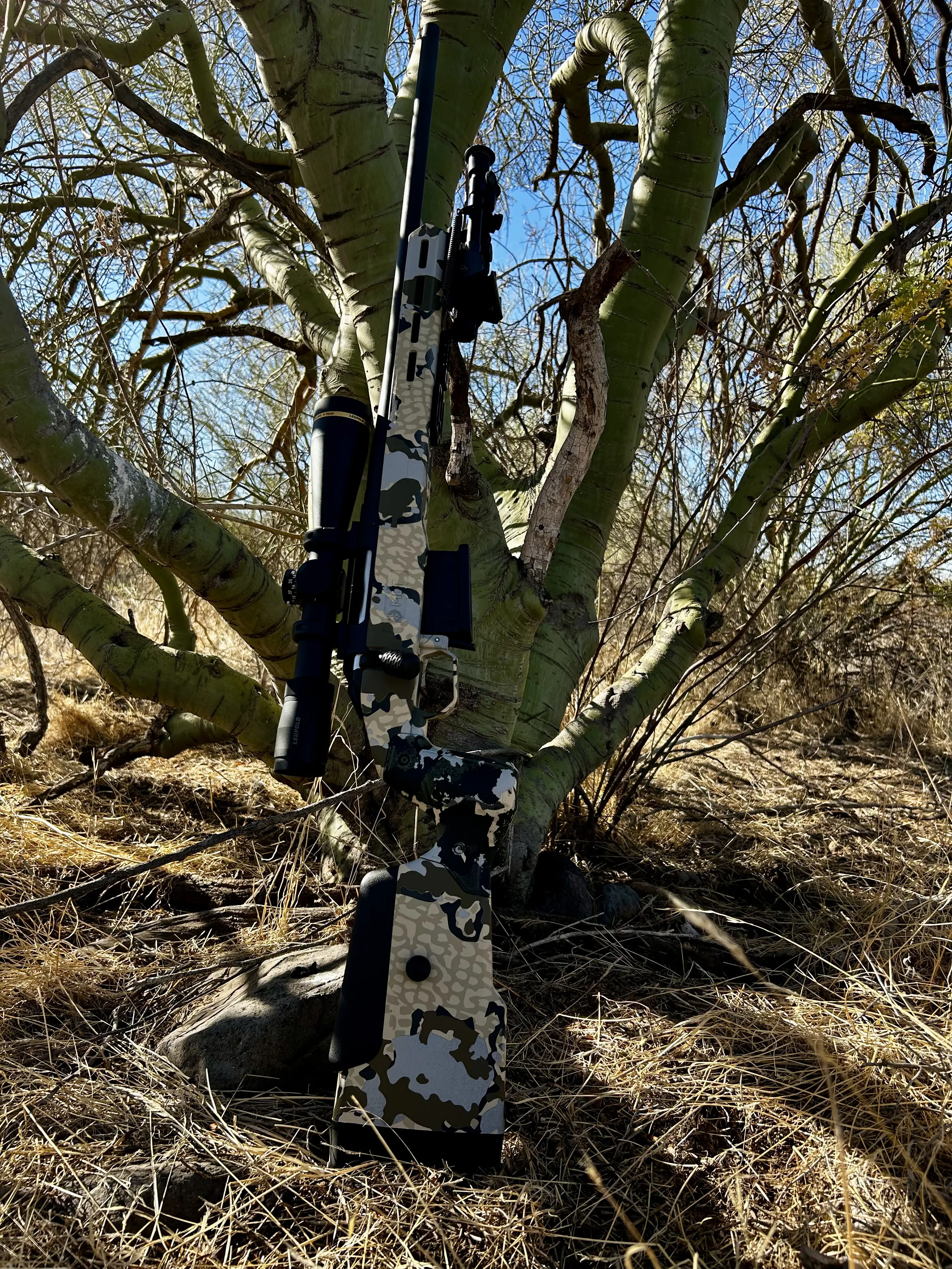 Carnimore custom build showcasing expert craftsmanship and professional finishing services in Arizona